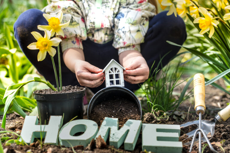 Home & Garden
